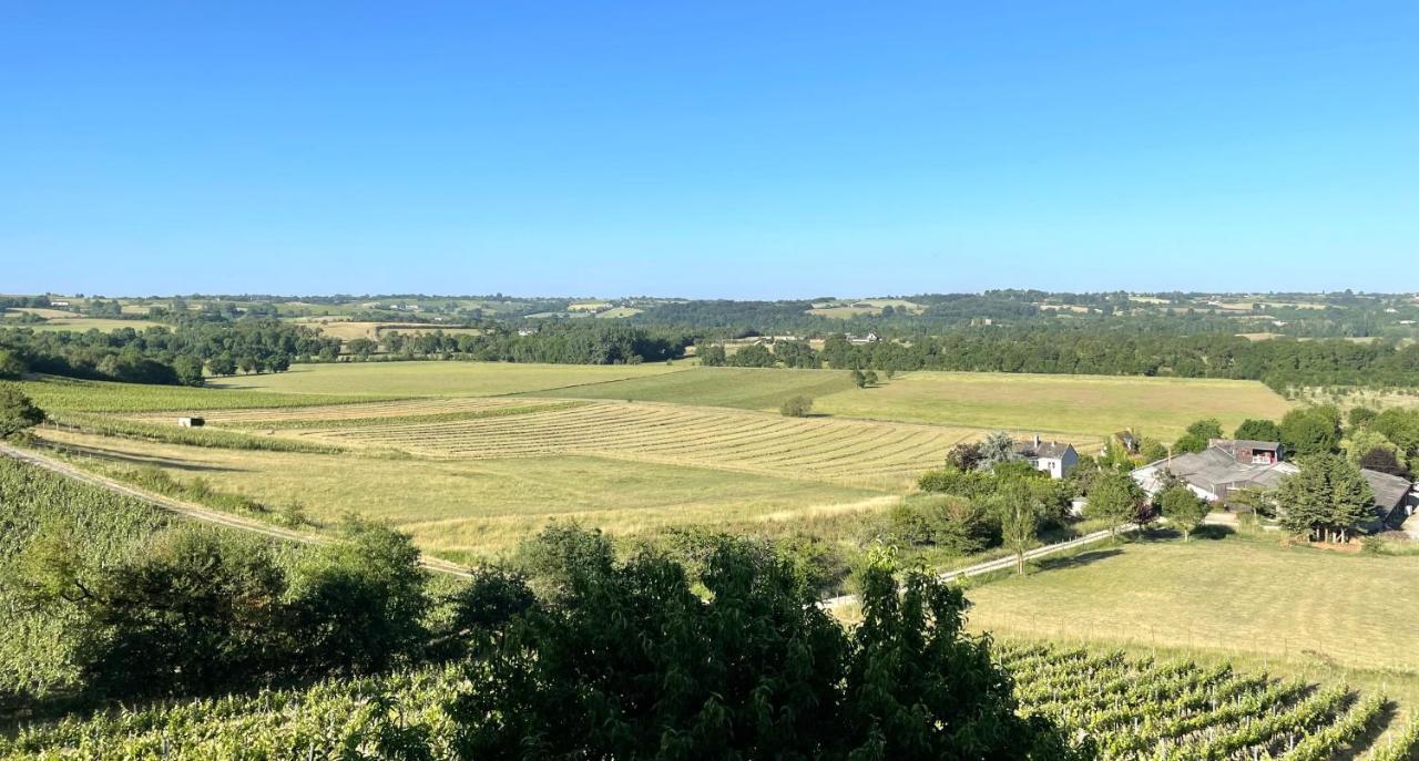 Maison Des Coteaux Blancs Chaudefonds-sur-Layon Bagian luar foto