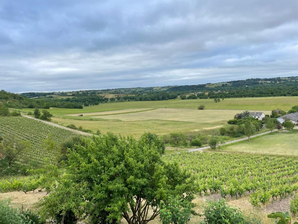 Maison Des Coteaux Blancs Chaudefonds-sur-Layon Bagian luar foto