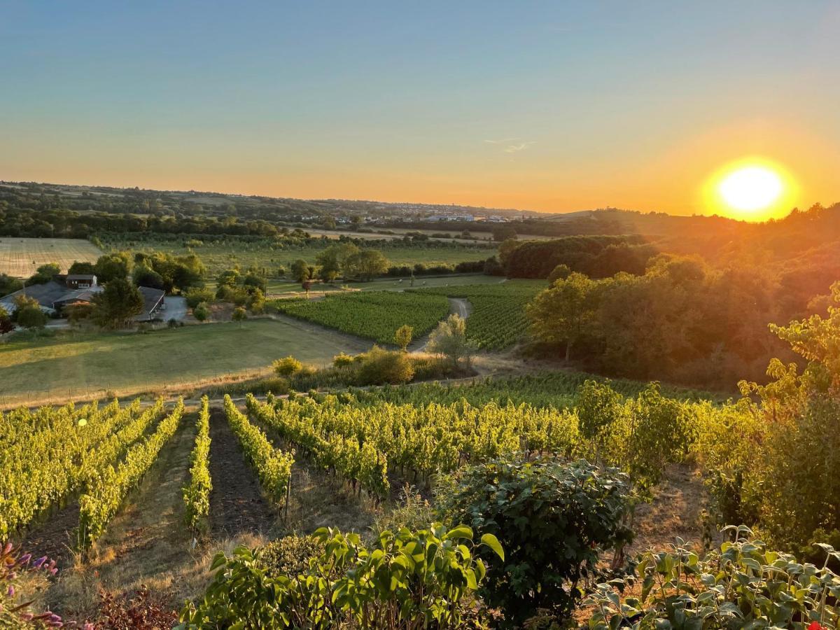 Maison Des Coteaux Blancs Chaudefonds-sur-Layon Bagian luar foto