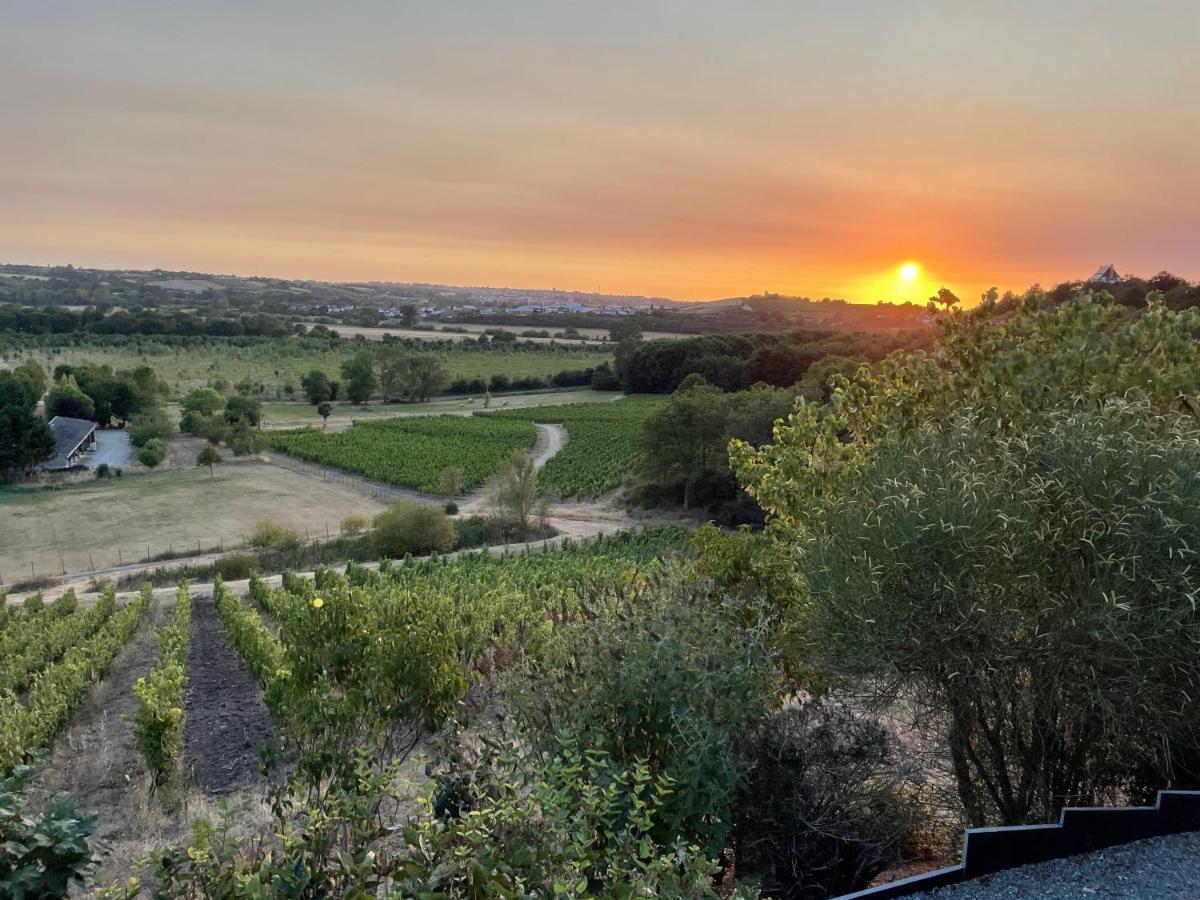 Maison Des Coteaux Blancs Chaudefonds-sur-Layon Bagian luar foto