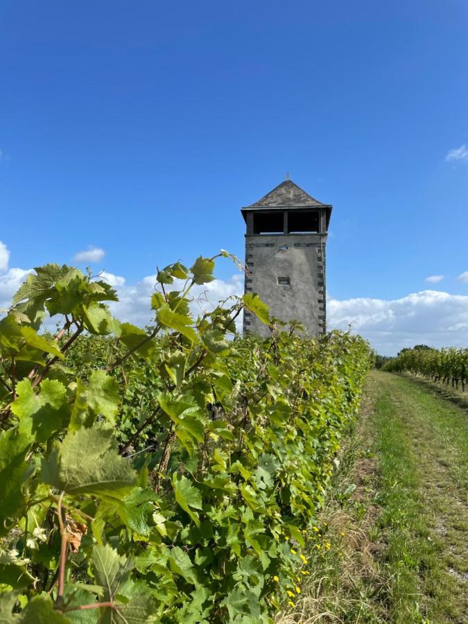 Maison Des Coteaux Blancs Chaudefonds-sur-Layon Bagian luar foto