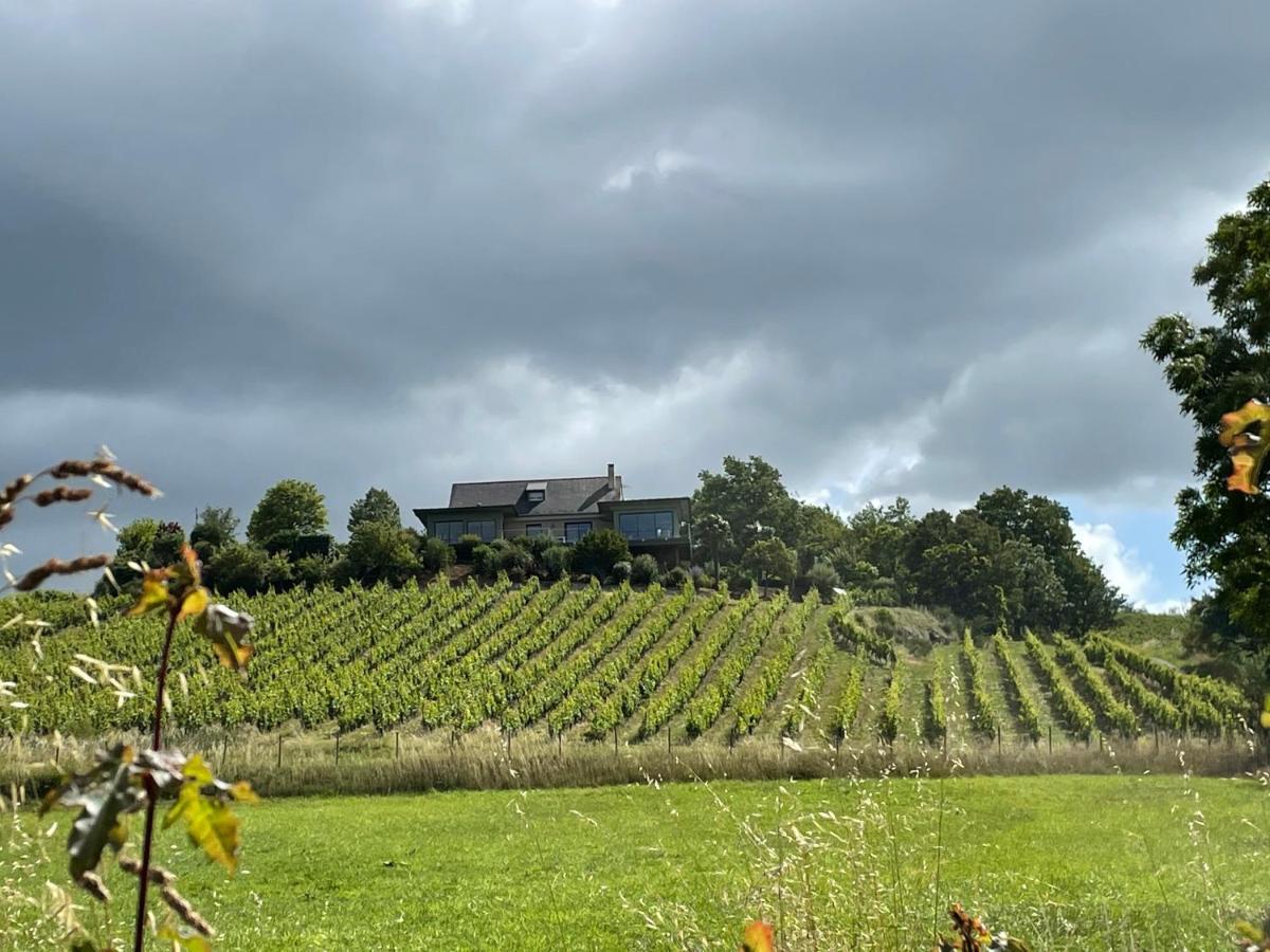 Maison Des Coteaux Blancs Chaudefonds-sur-Layon Bagian luar foto